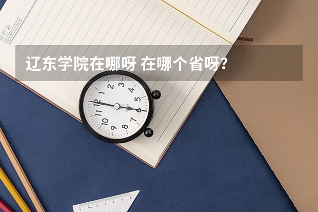 辽东学院在哪呀 在哪个省呀?