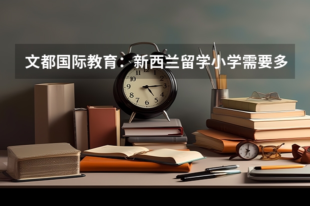 文都国际教育:新西兰留学小学需要多少费用