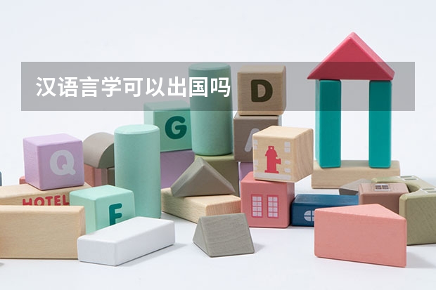 汉语言学可以出国吗