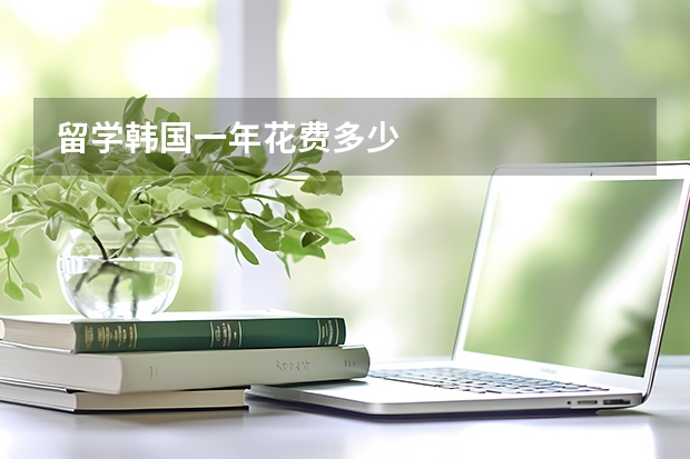 留学韩国一年花费多少