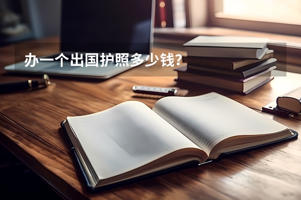办一个出国护照多少钱?