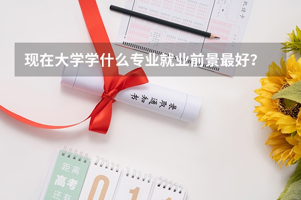 现在大学学什么专业就业前景最好？