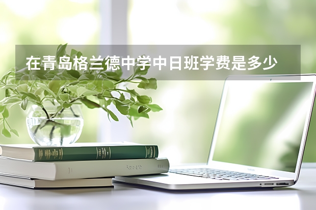 在青岛格兰德中学中日班学费是多少 ?