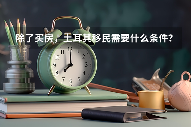 除了买房,土耳其移民需要什么条件?
