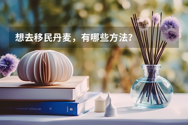 想去移民丹麦，有哪些方法？