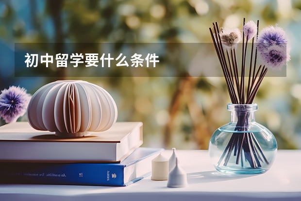 初中留学要什么条件