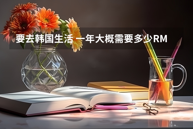 要去韩国生活 一年大概需要多少RMB？去首尔。。