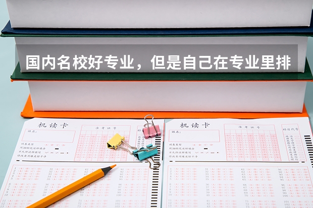 国内名校好专业,但是自己在专业里排名属于中下,想去德国留学,能去什么学校啊?学工科的