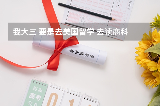 我大三 要是去美国留学 去读商科 毕业的出路怎么样子