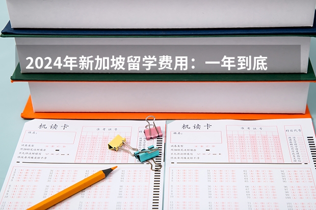 2024年新加坡留学费用:一年到底要花多少钱?