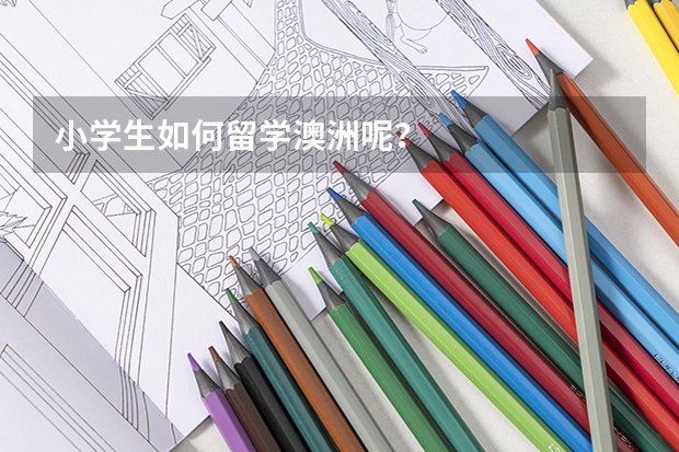 小学生如何留学澳洲呢?