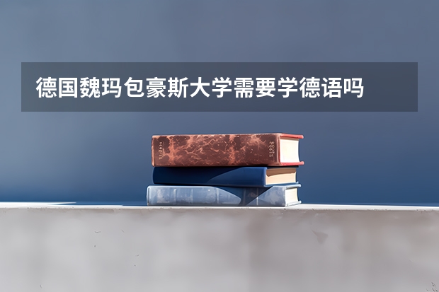 德国魏玛包豪斯大学需要学德语吗