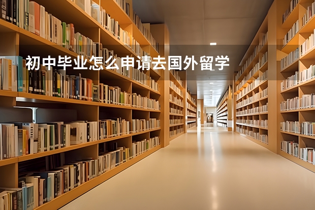 初中毕业怎么申请去国外留学